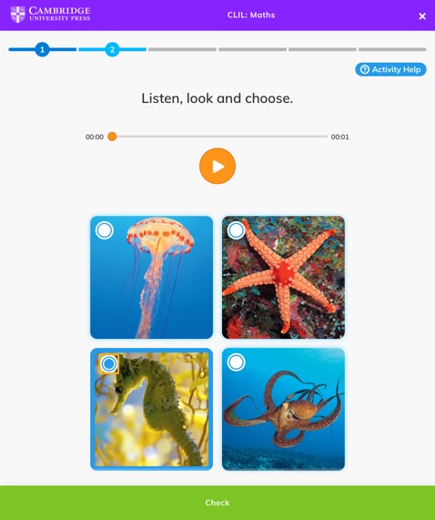 Practice activity