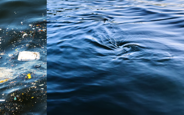 plastic in ocean with image of plastic free ocean next to it