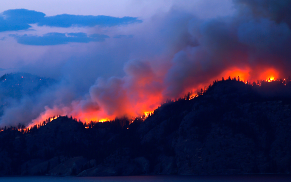 Forest Fires on mountain