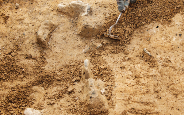 Archaeological Tools, Archaeologist Working on Site, Hand and Tool.