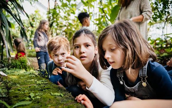 Three School Children Looking Carefully At Moss In Botanic Gardens