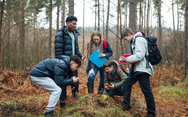 A group of students studying in a forest