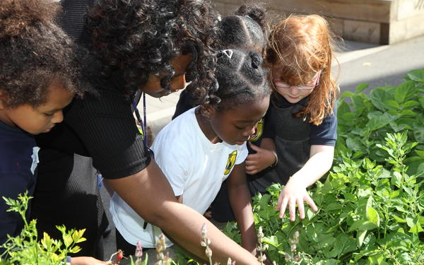 teacher guiding students on planting