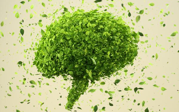 the human brain made up of leaves