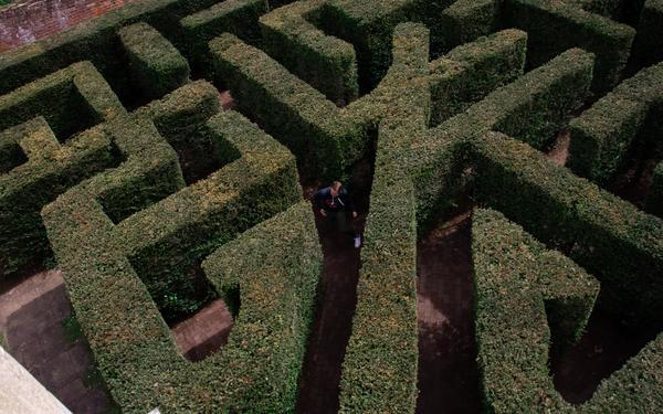 Birds eye view of person walking in a maze