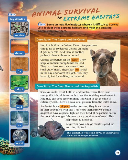 it's about desert animals, enhancing vocabulary and critical thinking