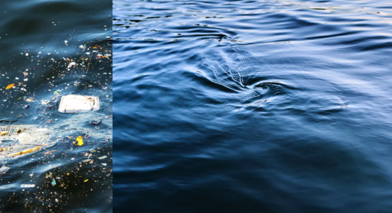 plastic in ocean with image of plastic free ocean next to it
