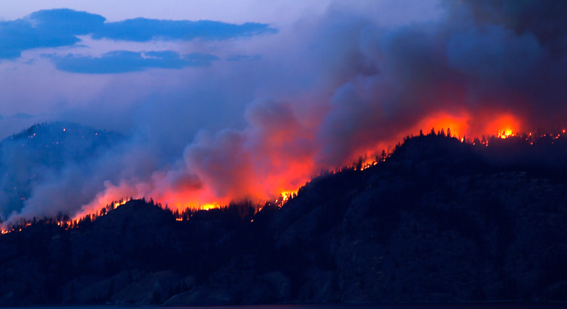 Forest Fires on mountain