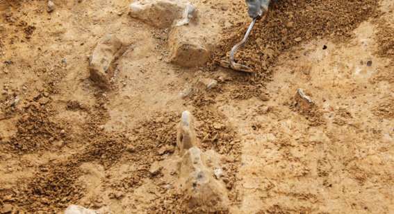 Archaeological Tools, Archaeologist Working on Site, Hand and Tool.